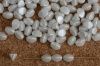 Pinch White 5 7 mm Alabaster Pastel White 02010-25001 Czech Glass Beads x 10g